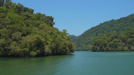 Un-Tranquilo-Canal-Ubicado-Dentro-De-Un-Frondoso-Bosque-Presenta-Un-Paisaje-Sereno-Y-Pintoresco