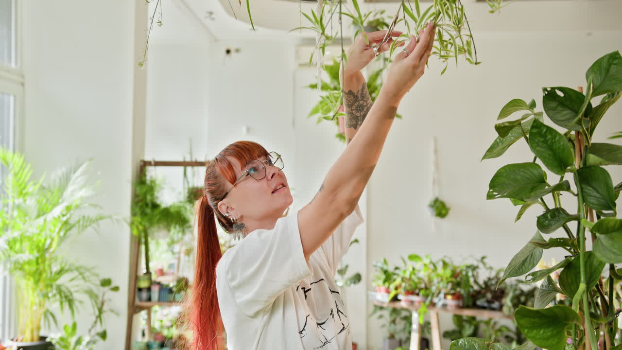 식물 가게 에서 식물 을 돌보는 여자