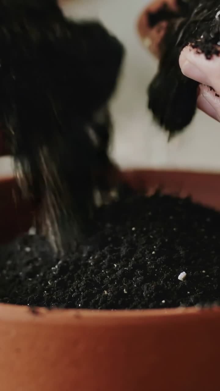 Video verticale: Mani che sollevano una zolla, setacciando un composto con perlite in un vaso di terracotta su un tavolo per piantare.
