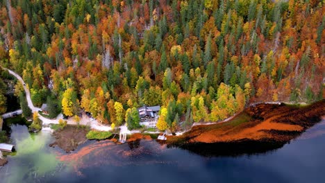 Vista-Aérea-De-Un-Lago-En-El-Otoño