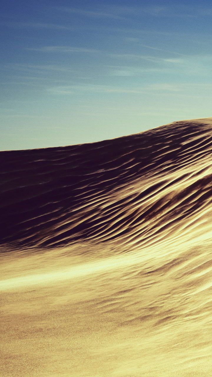 Sunset light hitting sand dunes in a desert landscape near a clear sky
