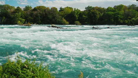 niagara river on a summer day