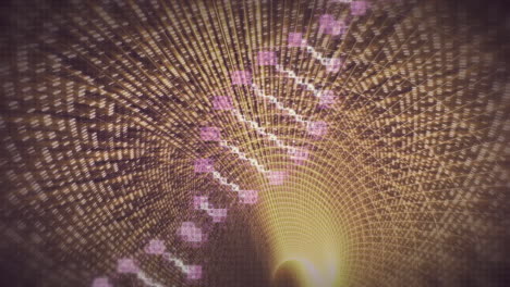 animación de la cadena de adn sobre el túnel digital rosa