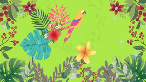 animación de pájaros tropicales, hojas y patrón sobre fondo verde