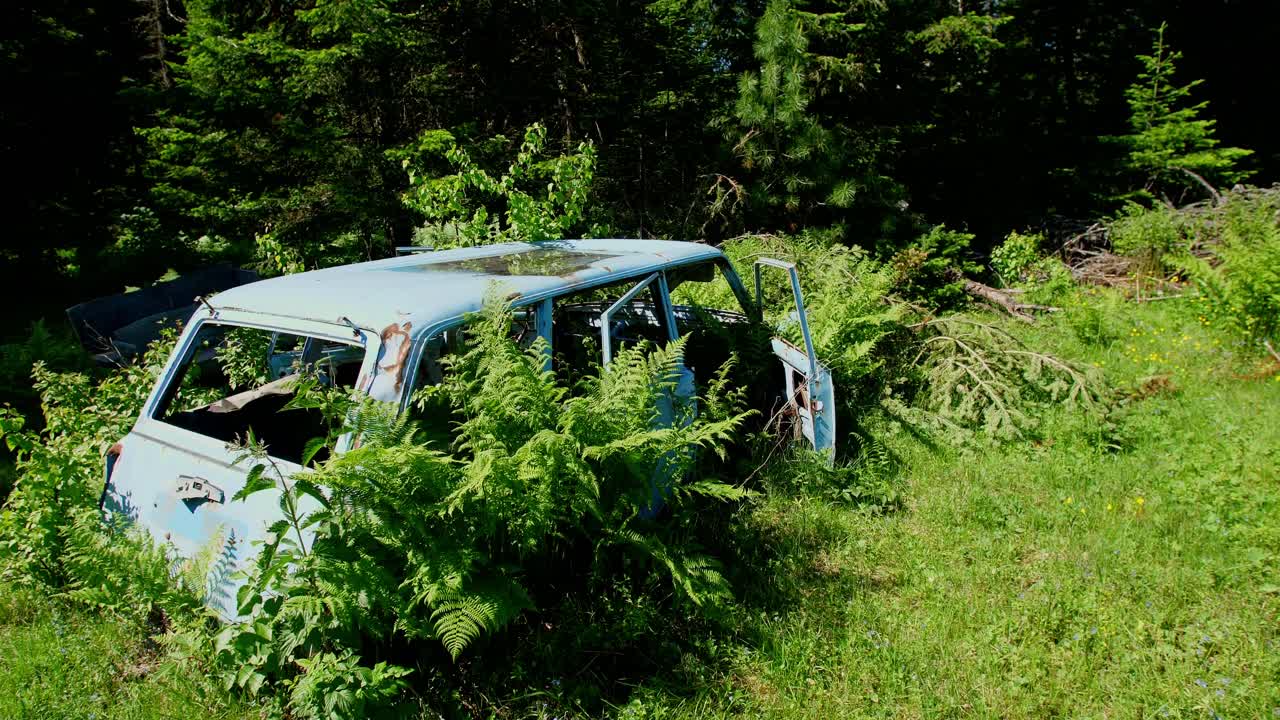 Abandoned Car Overgrown in the Woods