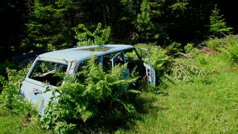 abandoned car overgrown in the woods