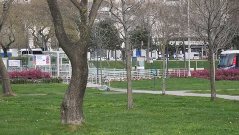 tram stop in a park