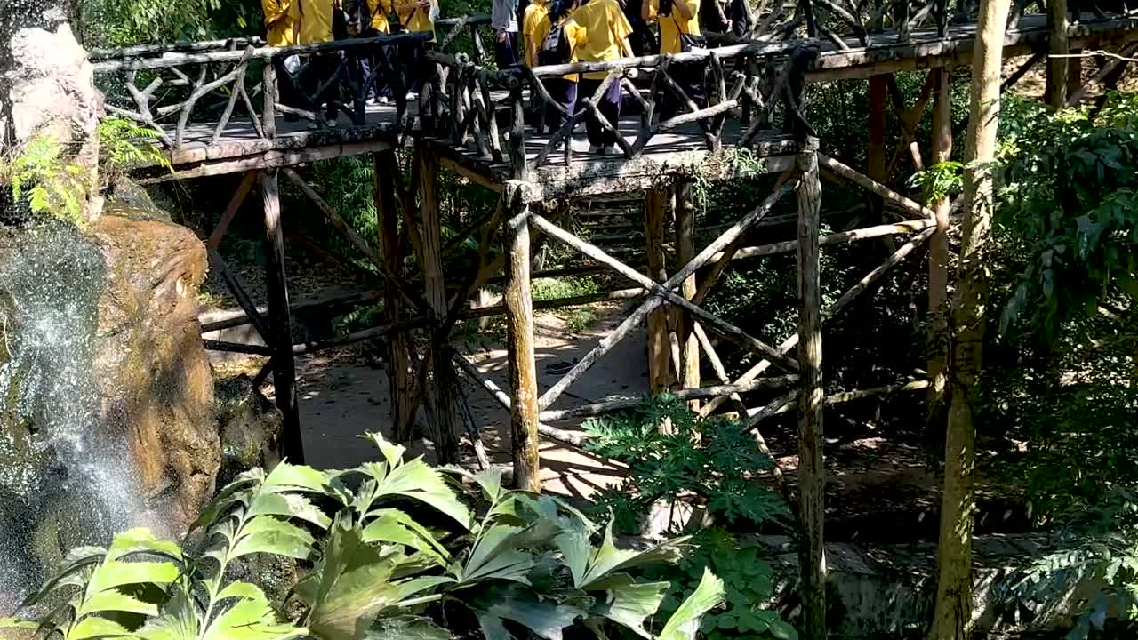 A group crosses a wooden bridge near a cascading waterfall surrounded by lush jungle foliage.