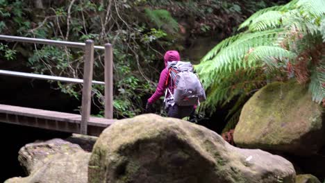 Indigenous-Australian-girl-waling-across-a-wooden-bridge-in-the-Blue-Mountains,-NSW-Australia