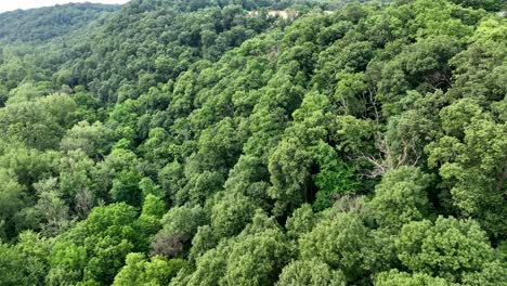 Una-Vista-Aérea-De-Una-Ladera-Boscosa-Densa-En-La-Naturaleza-De-Pensilvania