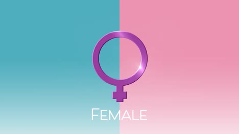 Animación-Del-Símbolo-De-Género-Femenino,-Sobre-Fondo-Rosa-Y-Azul