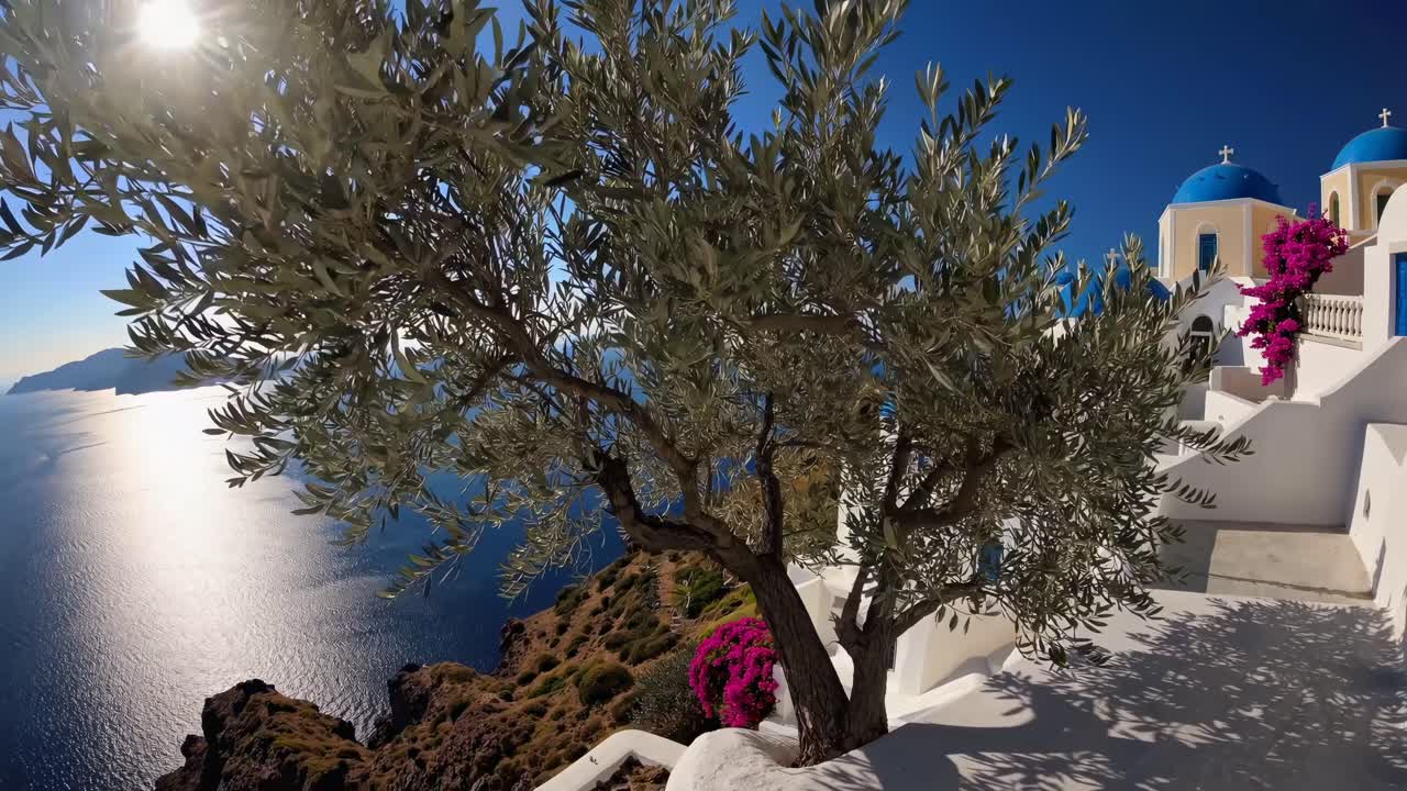 Vakker landsby på Santorini med blå kupler og oliventre med utsikt over Egeerhavet