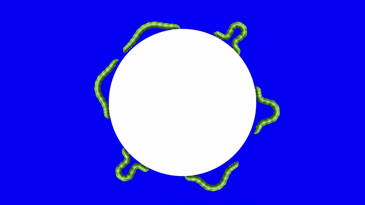 색 원 위의 애벌레, 루핑 3d 애니메이션