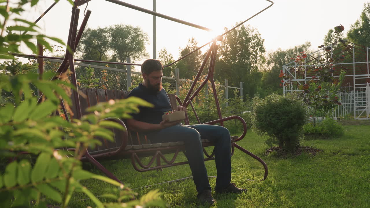 bearded man seated on swing bench in garden gently swinging under sun flare while eating freshly harvested strawberry from carton