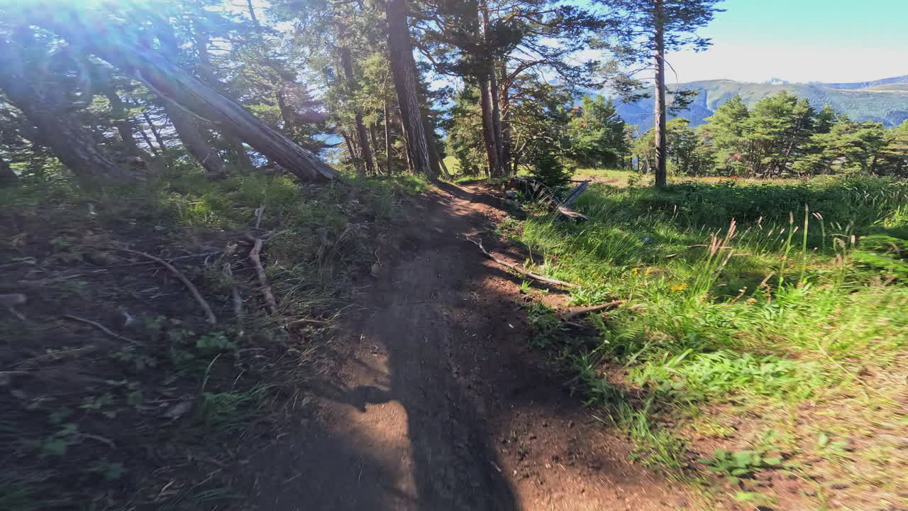 POV Mountain Biking Downhill on a Sunny Forest Trail