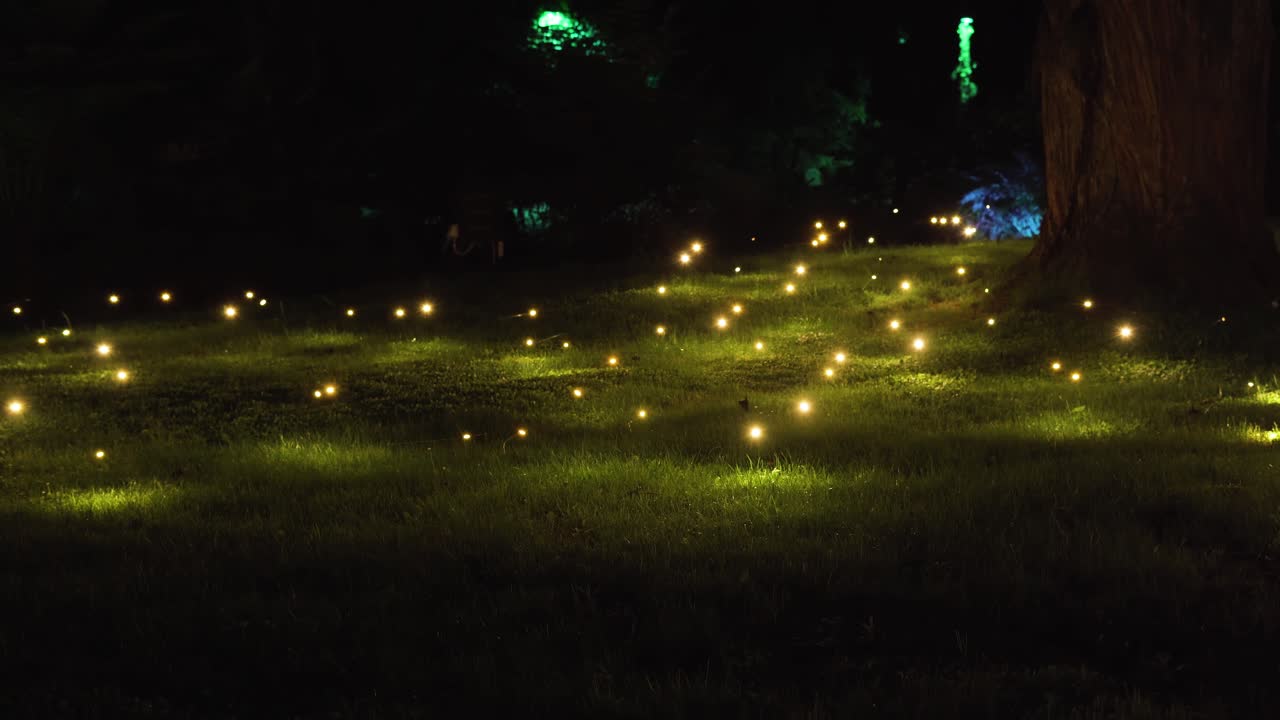 Fireflies during the Festival of Lights in New Plymouth, New Zealand