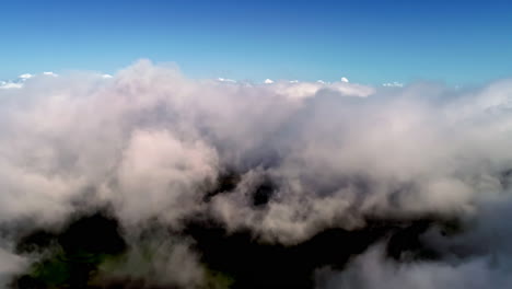 amplia conciencia despierta flotando en las nubes.