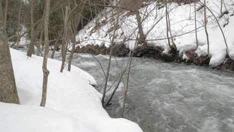 rushing meltwater stream in spring, forest with snow, wide handheld static downstream