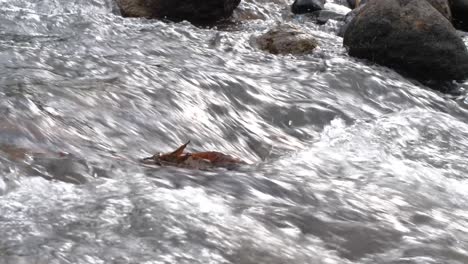 close up of flowing river water 4k