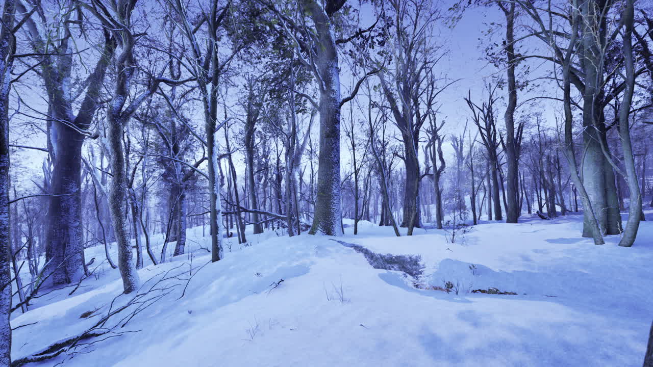 Paraíso de inverno coberto de neve envolto em tons de azul na hora do crepúsculo