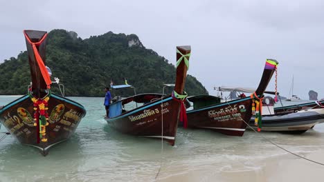 boats docked on a scenic krabi shoreline