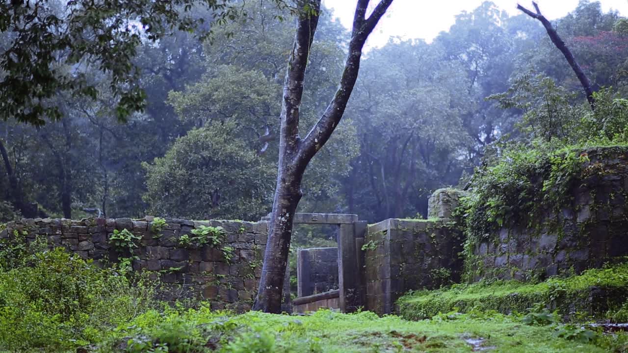 vídeo del fuerte kavale durga en india, con una antigua puerta de piedra en medio de un bosque.