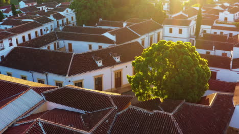 aerial view of a charming spanish town at sunrise