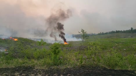 Panning-from-a-burnt-landscape-shrouded-by-smoke-to-green-field-with-a-few-spot-fires