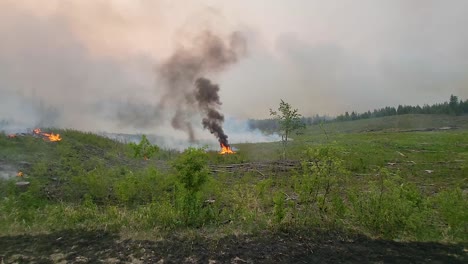 panning from a burnt landscape shrouded by smoke to green field with a few spot fires