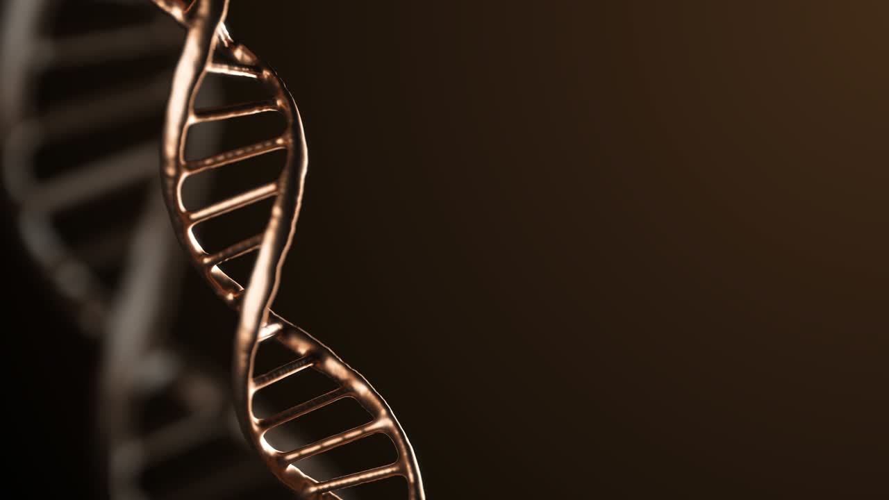 abstracto metálico brillante dino dna doble hélice con profundidad de campo giratorio. misteriosa animación científica. imágenes futuristas del genoma. diseño conceptual de información genética. 4k uhd.