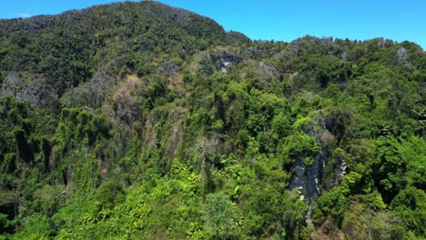 Untouched-natureInaccessible-Terra-nature-jungle-mountains