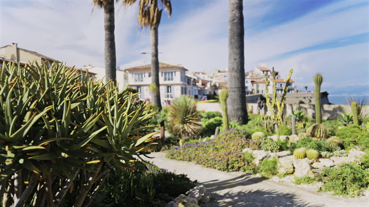 Multiple palm trees and cacti in a small garden with a blurred background of people walking on the coast of Antibes, France
