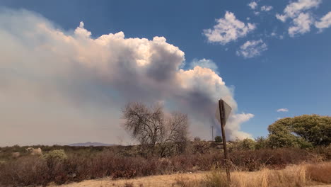 conduciendo en un desierto seco y un gran incendio en el horizonte