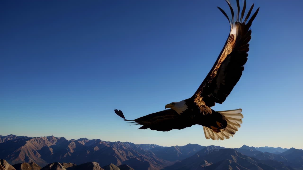 Bald Eagle Soaring Above Mountains