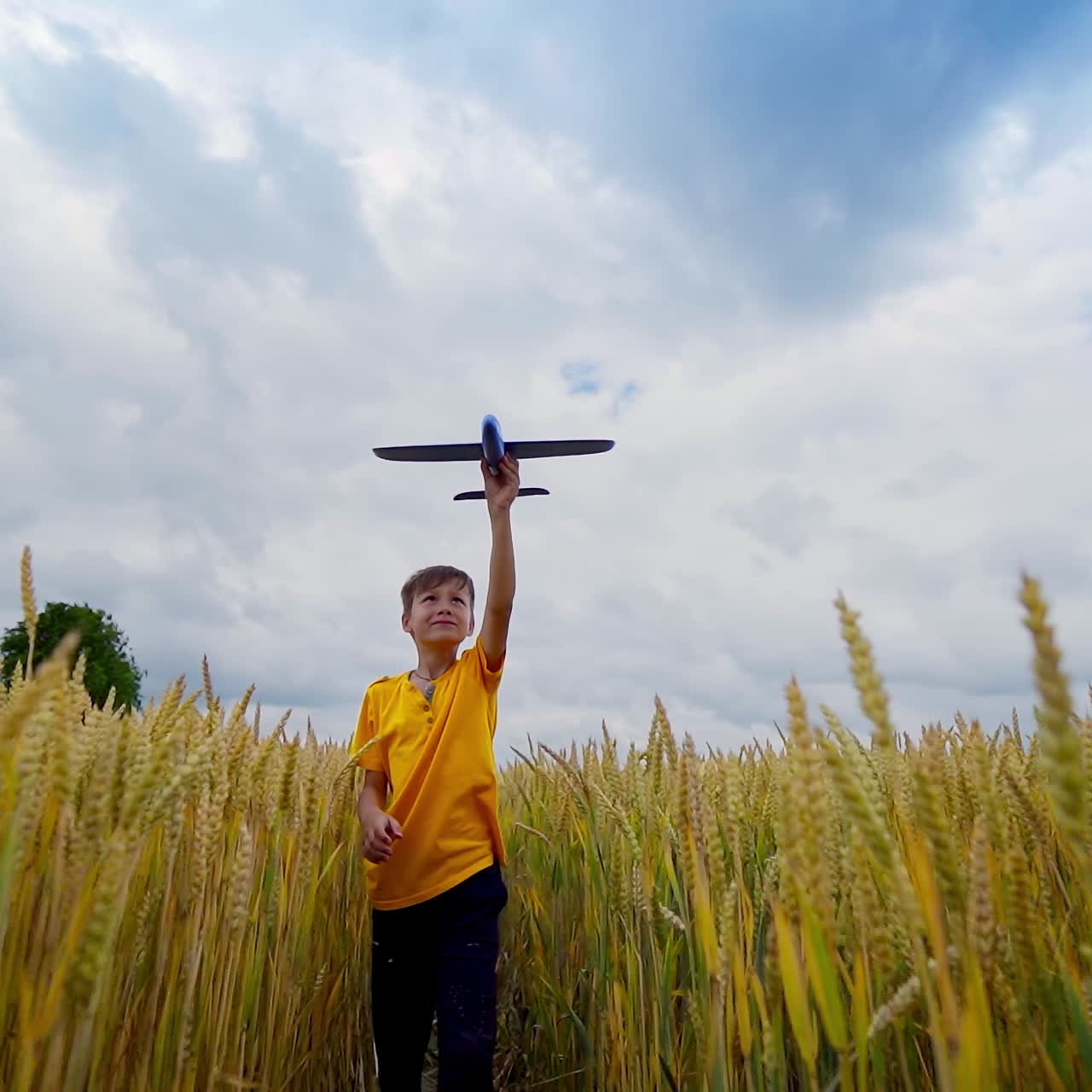 Little boy walks in wheat field. Happy child playing with toy plane on the field under beautiful sky. Boy among agriculture field in summer. Front view.