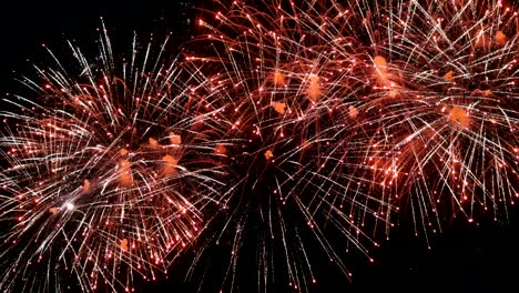 fuegos artificiales en el cielo nocturno