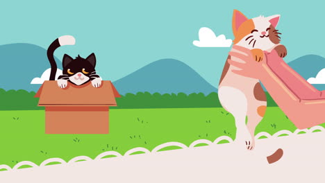 cute cats in the camp animation