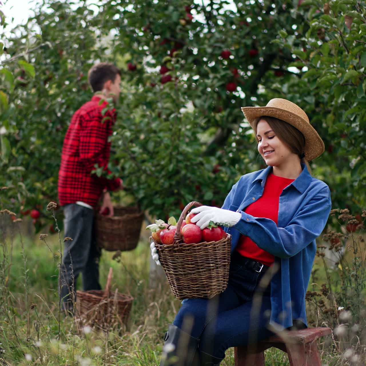 Enjoying the apple crop gathered in the garden. Young Caucasian lady sits in the orchard looking and smelling the fruit from her harvest. Boy at backdrop picks up apples from tree