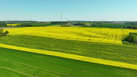 panoramic view of vast agricultural fields, with alternating sections of green and yellow crops