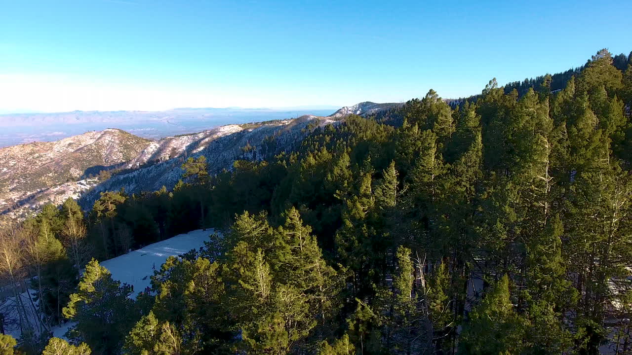 Stunning Aerial View of Snow-Covered Mountains and Forest
