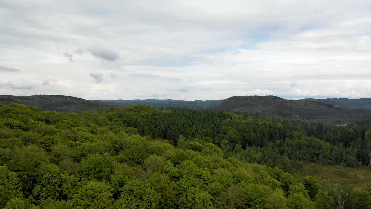Aerial view over big green forest with lakes and hills. Cloudy blue sky. REVEAL DOWN TO UP.