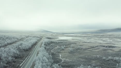 aerial view of a stark winter landscape