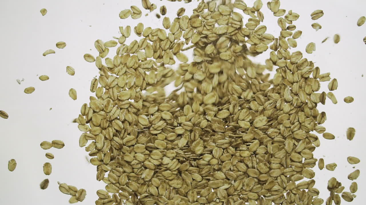 귀리 플레이크 가을 슬로우 모션 100fps