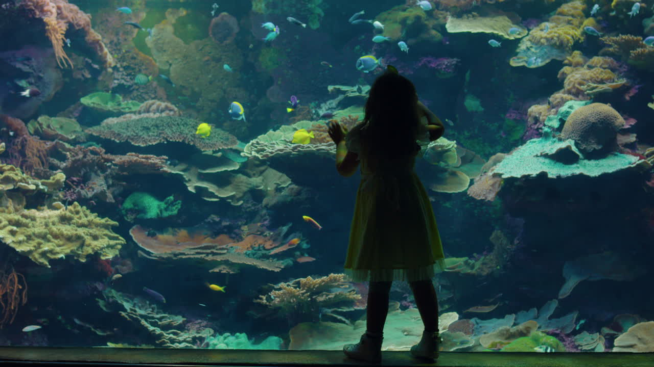 niña joven en el acuario viendo peces nadando en el tanque niño curioso mirando la vida marina en el acuario hábitat de arrecife de coral divirtiéndose aprendiendo 4k