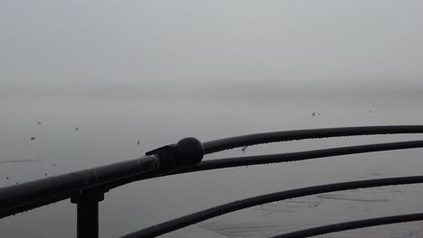 seagulls flying slow motion from railings across ghostly misty river