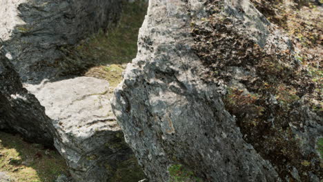 cerca de la formación de piedras rocosas