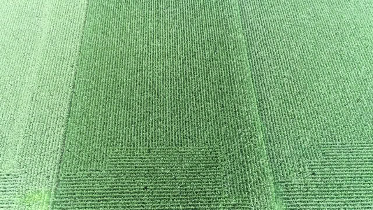 toma aérea de drones de tierras de cultivo muy verdes