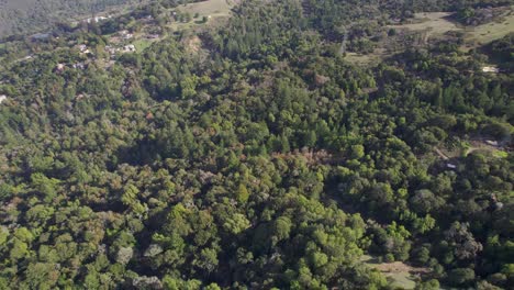 drone tilt down to bird's eye of northern california forest