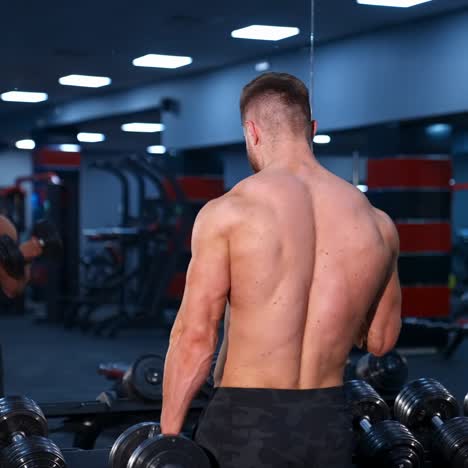 exercise for the muscles biceps