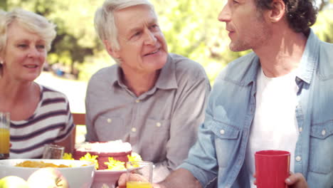 Happy-family-having-a-picnic